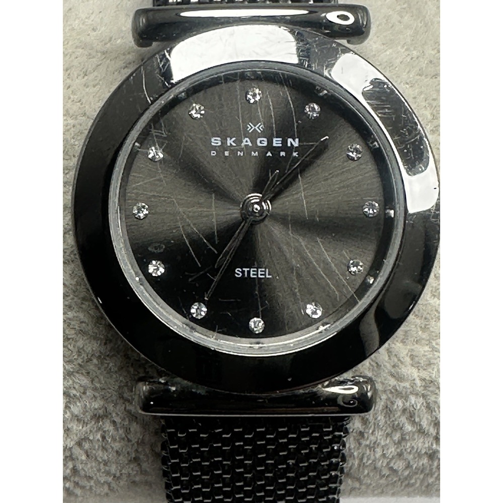 Skagen Steel 107SMSM1 New Battery Ladies Watch 25MM 6" Stretch Band J72
